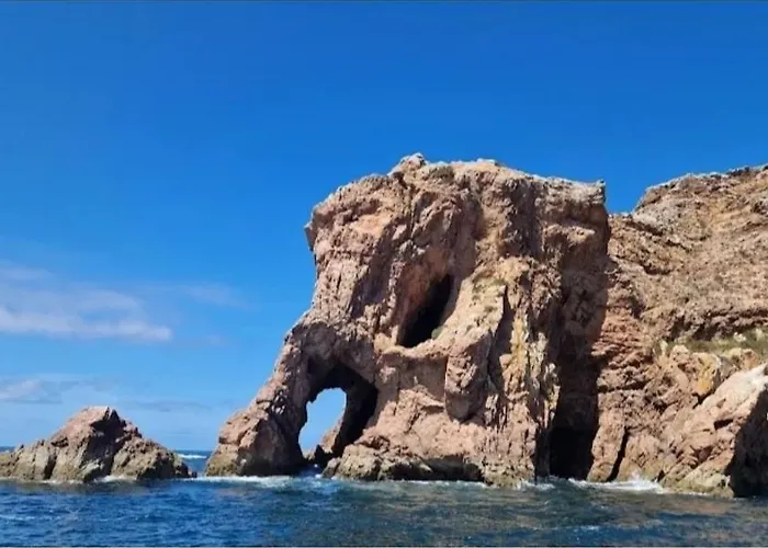 D'yellow House - And Countryside * Carqueja